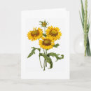 Pesquisar por redoute cartoes Flower