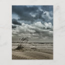 Pesquisar por anastasia cartoes postais Praia