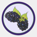 Pesquisar por blackberry adesivos Bagas