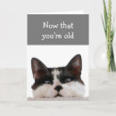 Pesquisar por esquecer cartoes Humor