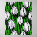 Pesquisar por tulipas brancas pôsteres pósteres Floral