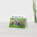 Pesquisar por gato feliz aniversario cartoes Gatinhos