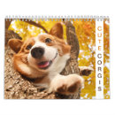 Pesquisar por cachorro calendarios Corgi