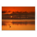 Pesquisar por st petersburg cartoes postais Fotografia