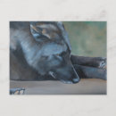 Pesquisar por lobo preto cartoes postais Vida selvagem