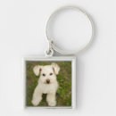 Pesquisar por saída chaveiros Animal