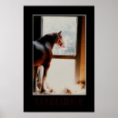 Pesquisar por cavalo clydesdale artes pósteres Equestre
