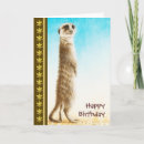 Pesquisar por imagens da natureza cartoes Vida selvagem