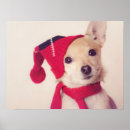 Pesquisar por cão papai noel pôsteres pósteres Animal