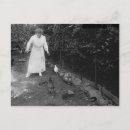 Pesquisar por galinhas pretas cartoes postais Animal