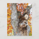 Pesquisar por golden yellow cartoes postais Autumn