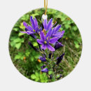 Pesquisar por selvagem ornamentos Primavera