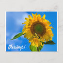 Pesquisar por pensativo cartoes postais Pensando em você