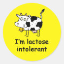 Pesquisar por lactose adesivos Alergia