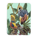 Pesquisar por tinham me no paraíso imas Plantas tropicais
