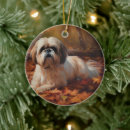 Pesquisar por shih tzu ornamentos Animal