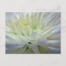 Pesquisar por espiritualidade cartoes Filosofia