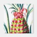 Pesquisar por fruta tropical imas Havaiano