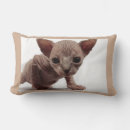 Pesquisar por gato feio casa presentes Gatinho