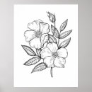 Pesquisar por selvagem cor de rosa aumentou Vintage
