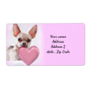 Pesquisar por cães etiquetas Cão