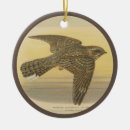 Pesquisar por europeu ornamentos Pássaro