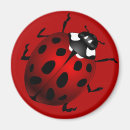 Pesquisar por ladybug imas Joaninha