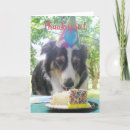 Pesquisar por prateleiras cartoes Qualquer pessoa