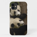 Pesquisar por pandas gigantes iphone capas Urso
