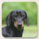 Pesquisar por preto liso porta copos Headshot