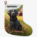 Pesquisar por labrador retriever de natal meias de natal Cães
