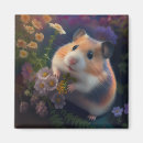 Pesquisar por hamster branco casa presentes Animais