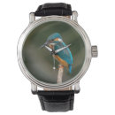 Pesquisar por pescatore Natureza