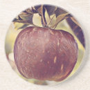 Pesquisar por cesto porta copos Cesta