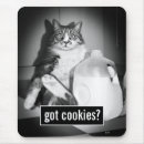 Pesquisar por piadas gato presentes Fofo