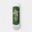 Pesquisar por coelhos skates Giro