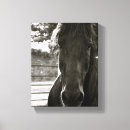 Pesquisar por cavalos impressão de canvas Preto