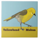 Pesquisar por cabeça casa casa azulejos Pássaro