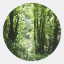 Pesquisar por plantas tropicais adesivos Floresta tropical