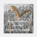 Pesquisar por doce amor é imas Para todos