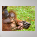 Pesquisar por mãe natureza pôsteres pósteres Adorável