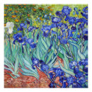 Pesquisar por flores de van gogh pôsteres pósteres Impressionismo