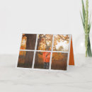 Pesquisar por vitrine cartoes Engraçado