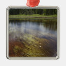 Pesquisar por transparente ornamentos Vertical