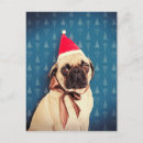 Pesquisar por pug do horizontal natal cartoes Amor