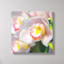 Pesquisar por orquídea impressão de canvas Fotografia