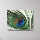 Pesquisar por peacock feathers impressão de canvas Elegante