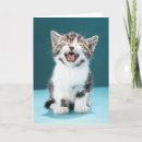 Pesquisar por raiva cartoes Felino