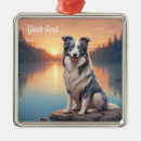 Pesquisar por border collie ornamentos Cães