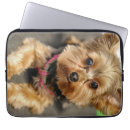 Pesquisar por minúsculo laptop sleeves Fofo